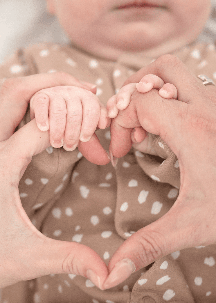 Cute little hands - family portrait